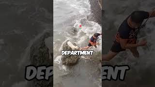 Trapped by Crashing Waves A Daring Dog Rescue export.