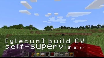 Interactive Grounded Language Understanding in a Collaborative Environment (IGLU) at NeurIPS 2021