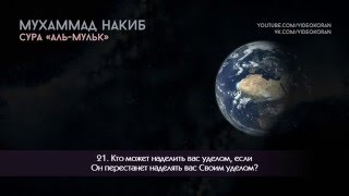 Красивое чтение Корана Мухаммад Накиб   Сура 67 «аль Мульк»