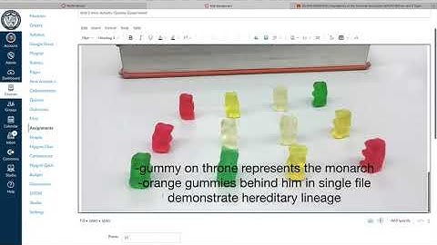 Canvas Studio Part 2: Discussion Boards