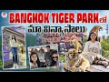 Bangkok tiger park     cool by neel  neelima vlogs  strikers