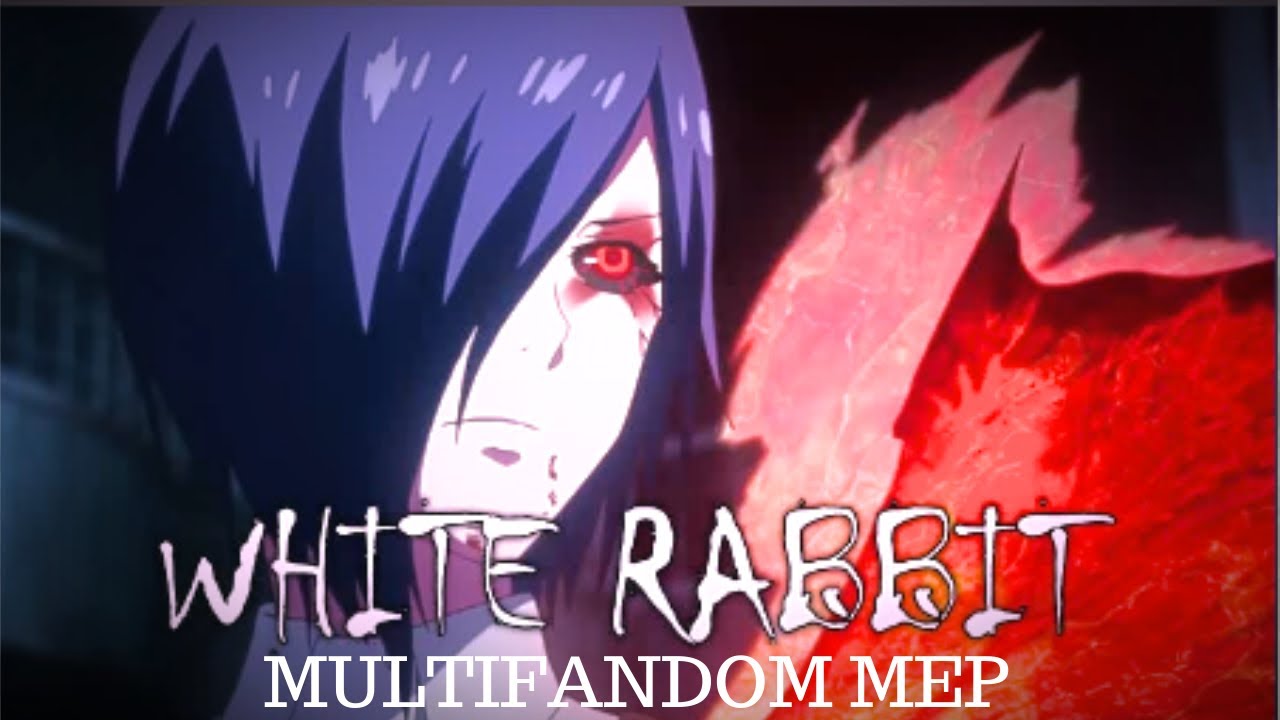 White Rabbit [MULTIFANDOM MEP]