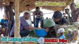 Công Giáp || 500 Kg Đậu Thành Quả Khủng Của 1 Bản Tại Trang Trại