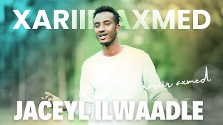 Xariir  Heesta Jacayl Ilwaadle 2015 Resimi