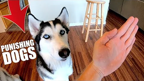 How To Punish Your Husky! (Or Any Dog) - DayDayNews