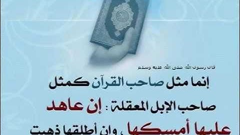أفضل مارتل سعيد دباح الجزائري من سورة يوسف afdal ma ratal said dabah min surat y