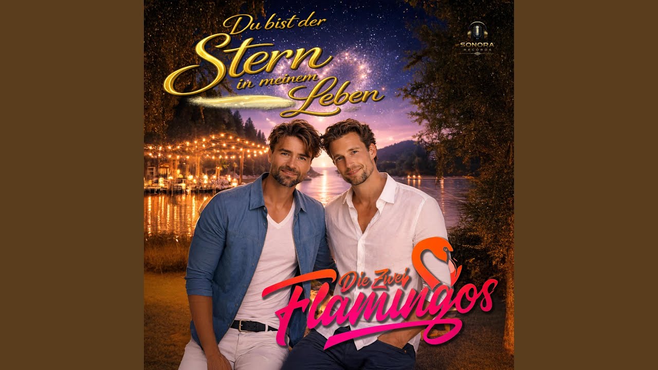 Du Bist der Stern in Meinem Leben