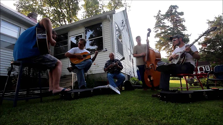 Bluegrass in the Yard