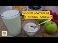 YOGUR NATURAL Y YOGUR GRIEGO