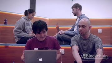 Wanna be a Blockchain Zoo associate?