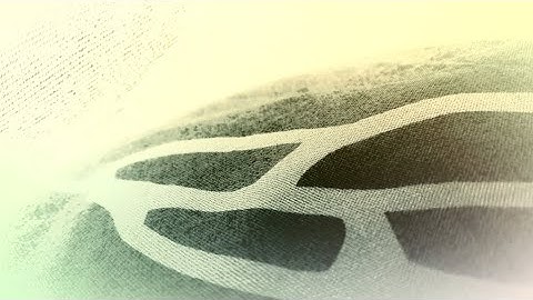 Gox Talgoxen - Opposites of White