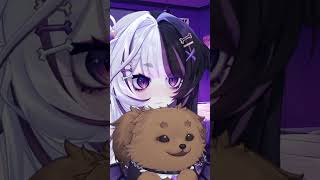 My Dog Is The Star Of The Show