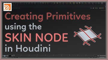 #23 Creating Primitives using the Skin Node in Houdini