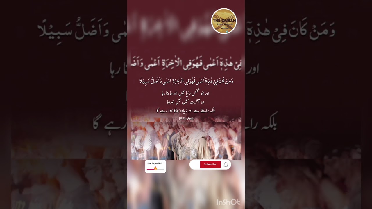 Peaceful Quran Online Learning 