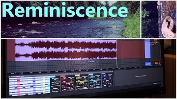 Reminiscence : creating a nature score with my new max for live device PL4YHEADS