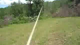 Pulling tree down with rope