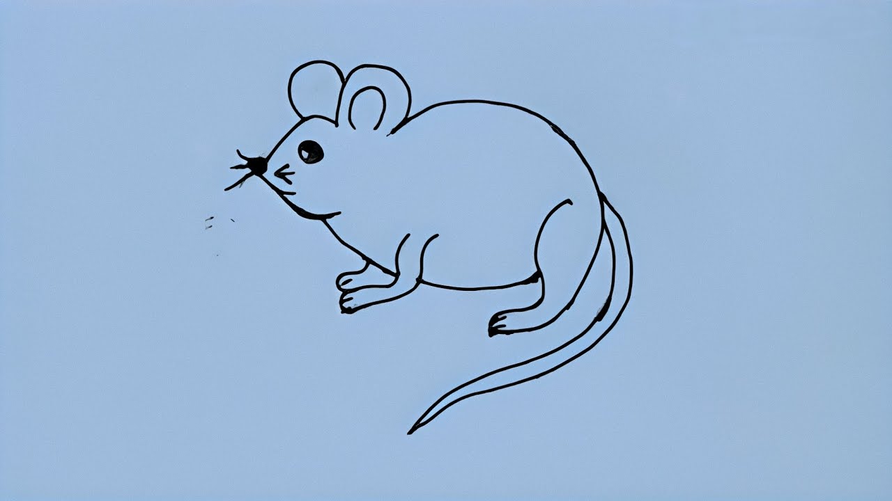 How to draw a cute mouse || Mouse easy drawing for kids step by step ...