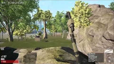 Bug on The Culling (fast animations bug).