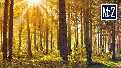 Speed Tutorial Gimp - Raggi di sole 2 - Rays of sunshine