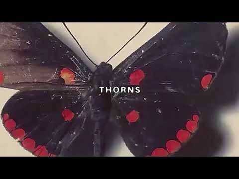 $UICIDEBOY$- THORNS ( GREY GROOVE BEAT REMAKE)