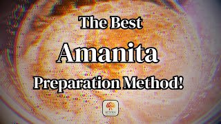 The Best Amanita Muscaria Preparation Guide: Part 1 - The Stimulating Blend