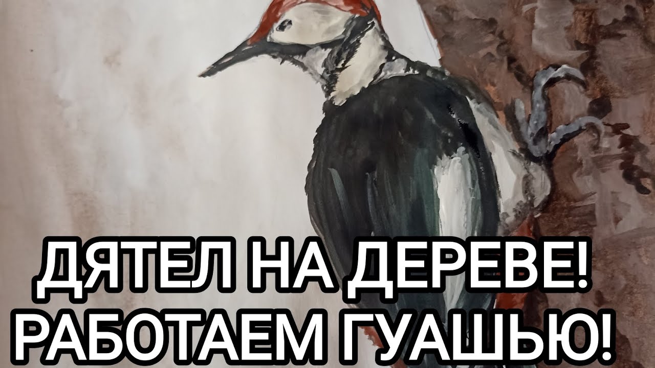 ДЯТЕЛ НА ДЕРЕВЕ! РАБОТАЕМ ГУАШЬЮ! 