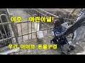 Diary 126- [어린이날 특집] 과천 서울대공원 동물원에서 아이와 놀아주기 😊