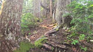 Summit Lake Trail hike + advice from Cedar Lake, Washington 1