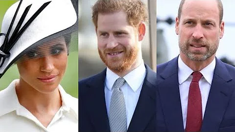 “Meghan & Harry Iced Out: The Royals’ Cold U.S. Snub Explained”