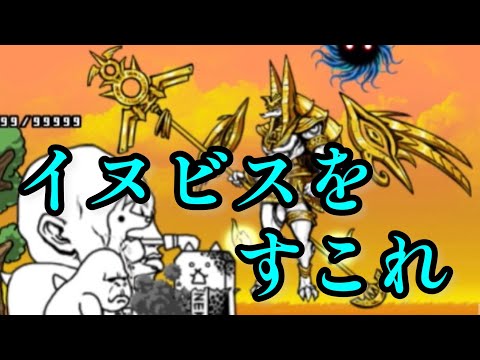 イヌビスをすこれ