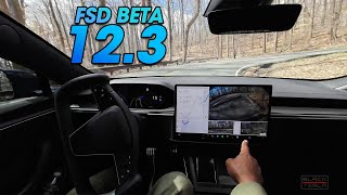 Tesla FSD Beta 12.3 vs The Winding Mountain Road