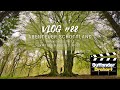 Outlander Drehort: Witness Trees im Kinclaven Bluebell Wood | VLOG #88 #schottland