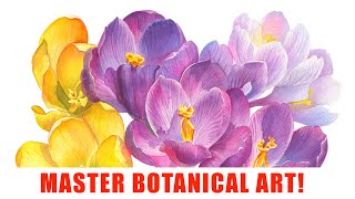 BOTANICAL ART TUTORIAL 🌸 Crocus 🌼 How to Paint Spring Flowers with Watercolor