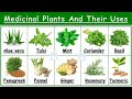 Medicinal plants and their uses  25 ayurvedic plants names  medicinal herbs     plants