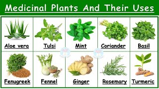 Medicinal Plants And Their Uses | 25 Ayurvedic Plants Names | Medicinal Herbs | औषधीय पौधे | Plants screenshot 2