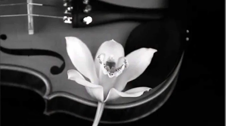 Valse Sentimentale - Tchaikovsky - Victor Hickman ...