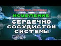 Матрица Гаряева Коррекция Сердечно сосудистой Системы (РЕГЕНЕРАЦИЯ)