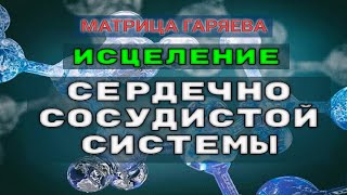 Матрица Гаряева Коррекция Сердечно сосудистой Системы (РЕГЕНЕРАЦИЯ)
