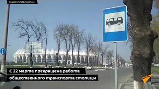 Niqob Taqib Yur Bu Vojib