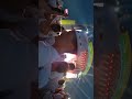 Giovanni Zarrella auf dem Hessentag 2025 Bad Vilbel #hessentag #badvilbel #hessen #giovannizarrella