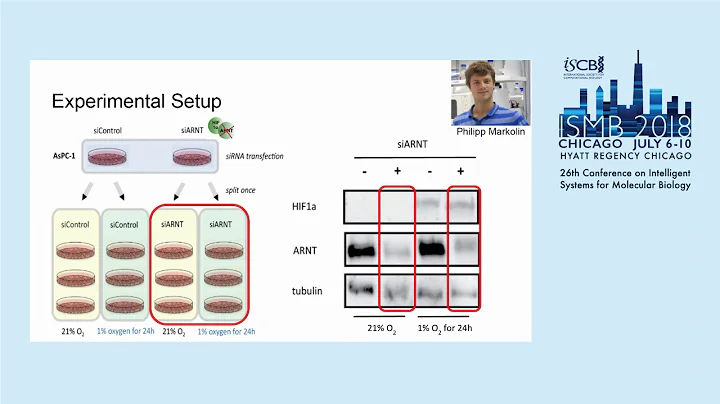 Identification and Characterization of... - Natali...