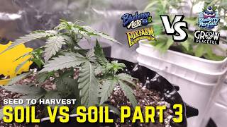 SOIL VS SOIL Seed to Harvest!! | Part 3, The Veg Stage