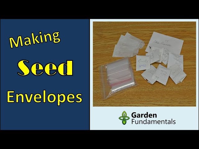 How to Make a Simple Paper Seed Envelope (packet) 