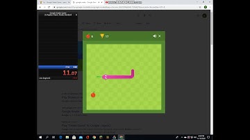 Google Snake Game Speedrun (Classic Mode Standard 25 Apples)