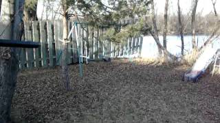 Dm6 Dye Matrix 6 Paintball Gun