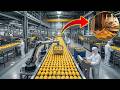 Production Process Inside a Modern Mango Processing Factory: From Farm to Delicious Dried Mangoes