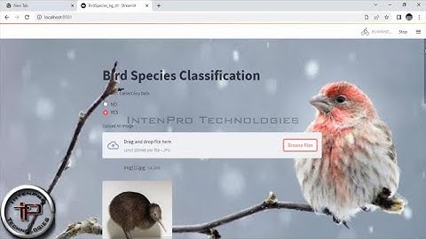 ** Streamlit Web Application ** - Bird Species Identification System Using Decision Tree In PYTHON