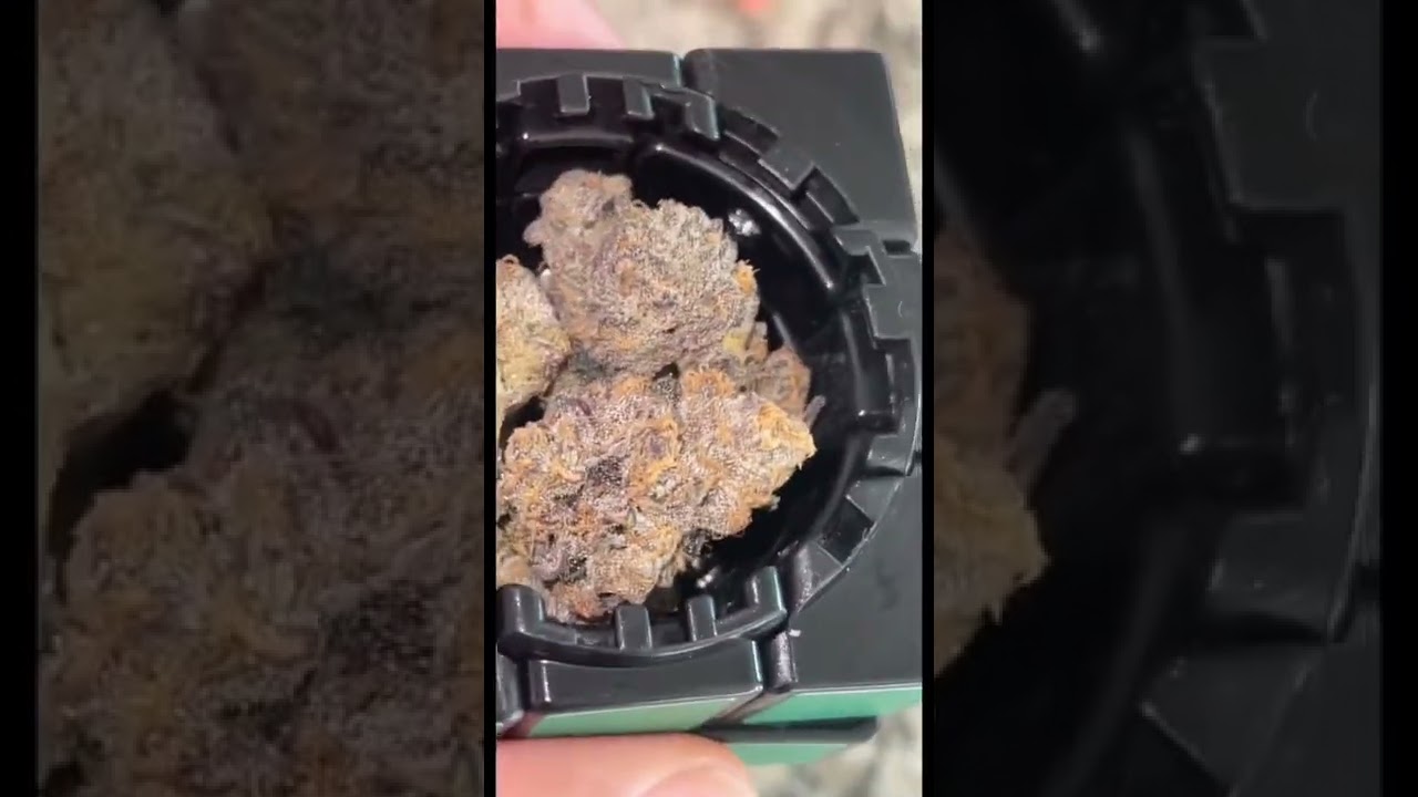 Zkittlez Auto from ILGM. AeroGarden XL