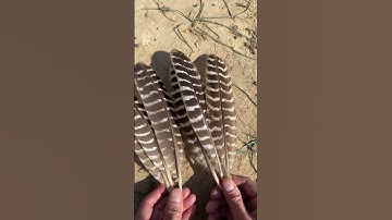 Making Arrows w/ Stone Tools. Full video ↑