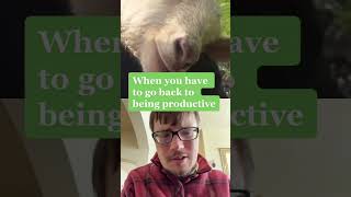 When You Go Back To Being Productive #funny #refreshingmusic #musicrefresh